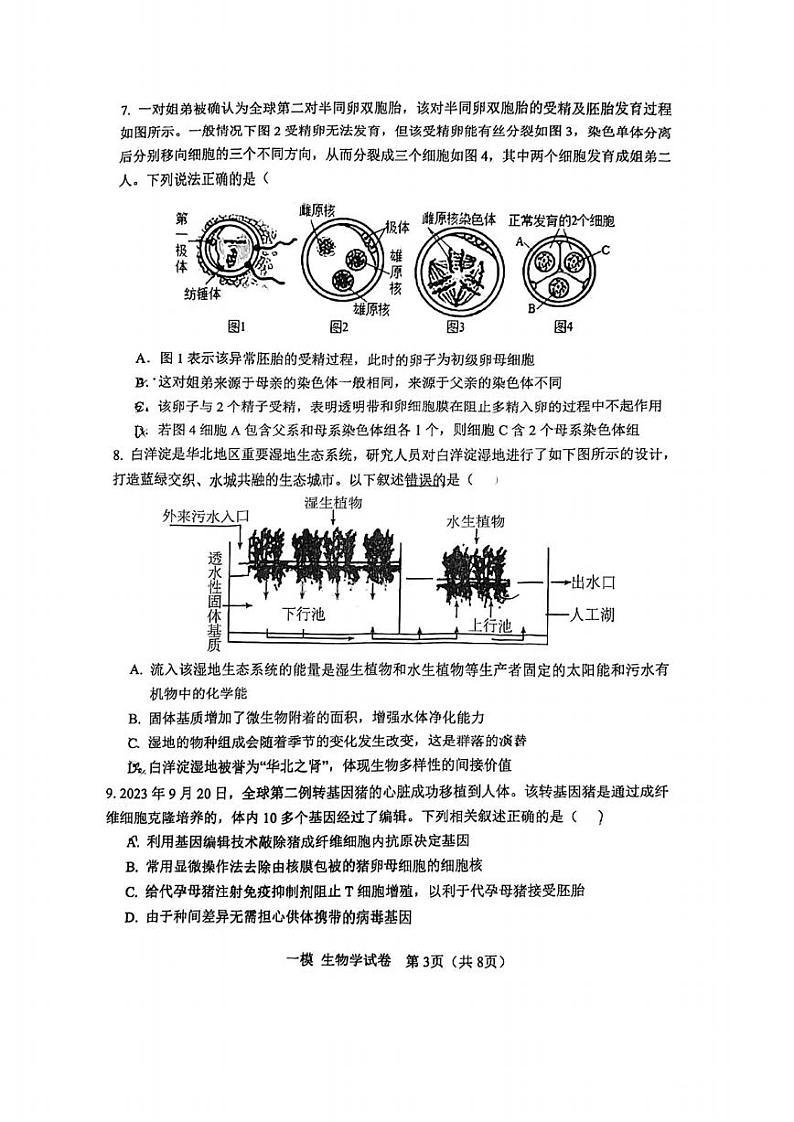 2024届天津市河东区高三一模生物试卷【含答案】03