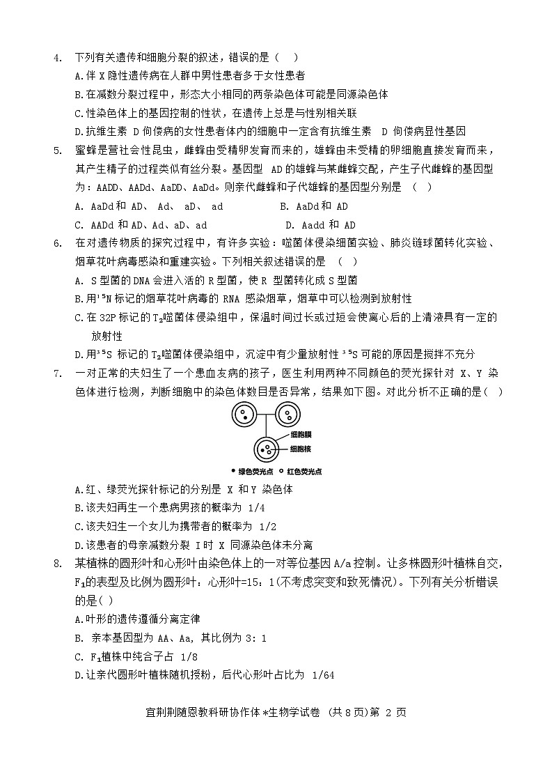 湖北省宜荆荆随恩2023-2024学年高一下学期6月联考生物试卷02