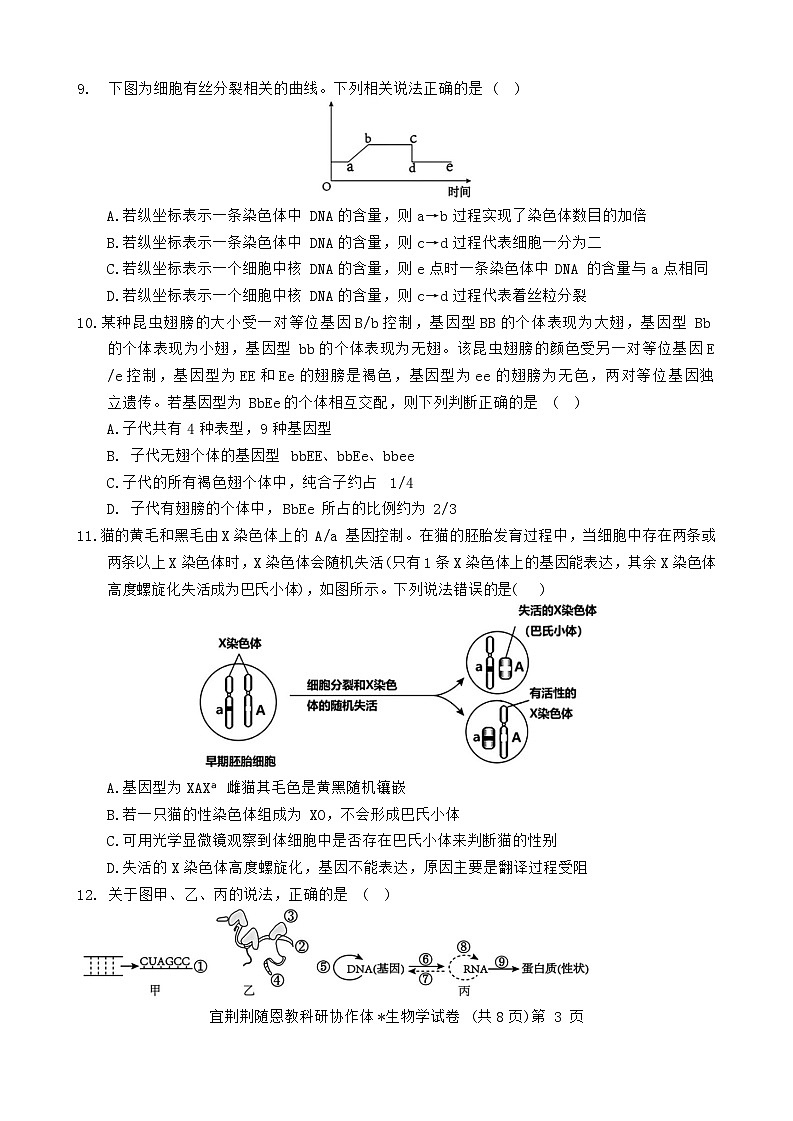 湖北省宜荆荆随恩2023-2024学年高一下学期6月联考生物试卷03
