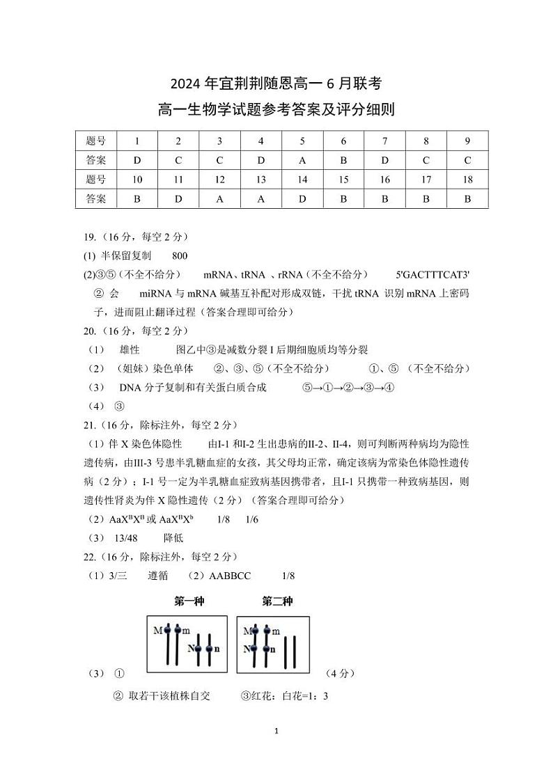 湖北省宜荆荆随恩2023-2024学年高一下学期6月联考生物试卷01