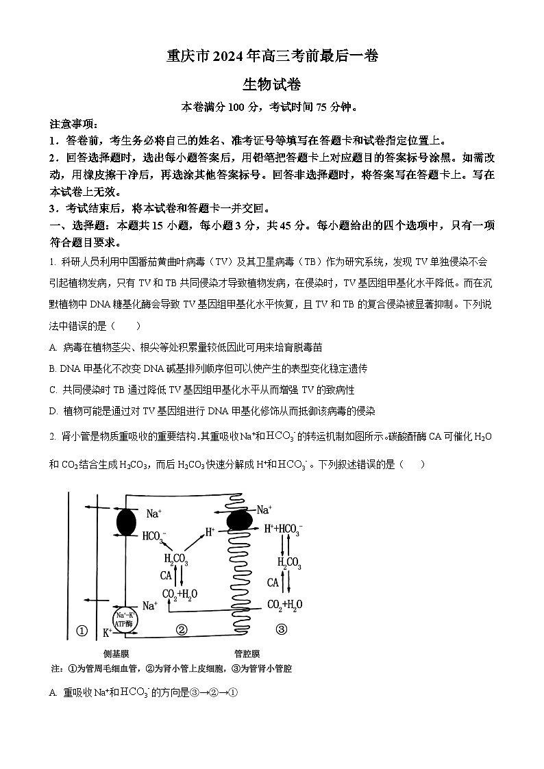 2024重庆市部分学校高三下学期考前最后一卷生物含答案第1页