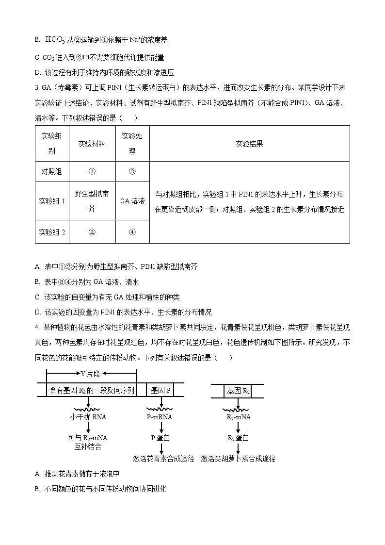 2024重庆市部分学校高三下学期考前最后一卷生物含答案第2页