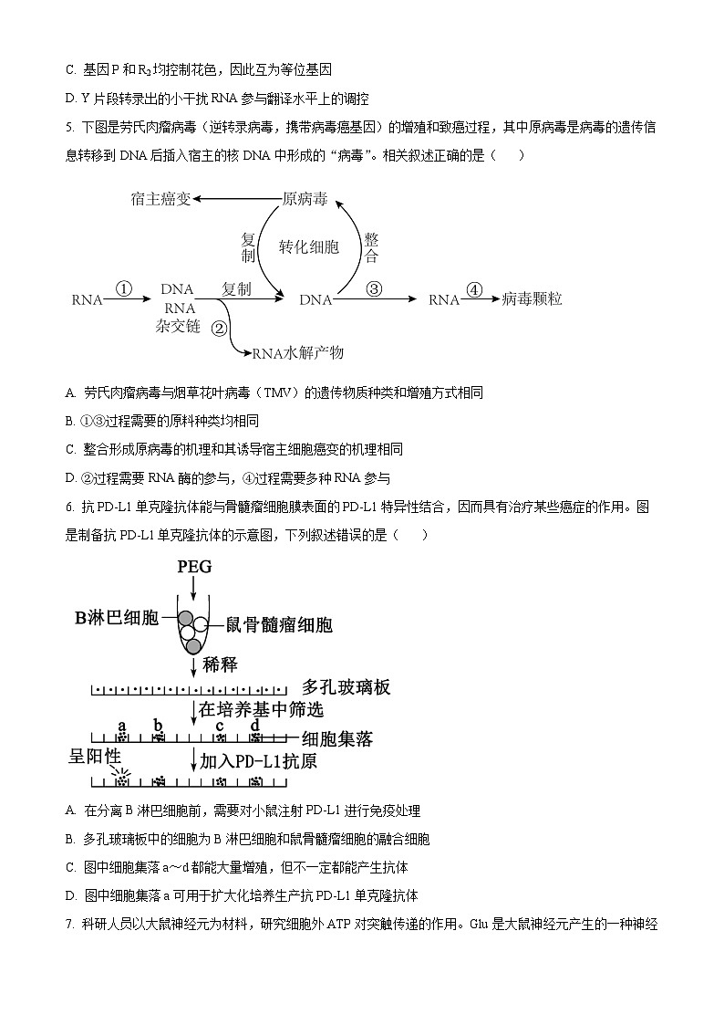 2024重庆市部分学校高三下学期考前最后一卷生物含答案第3页