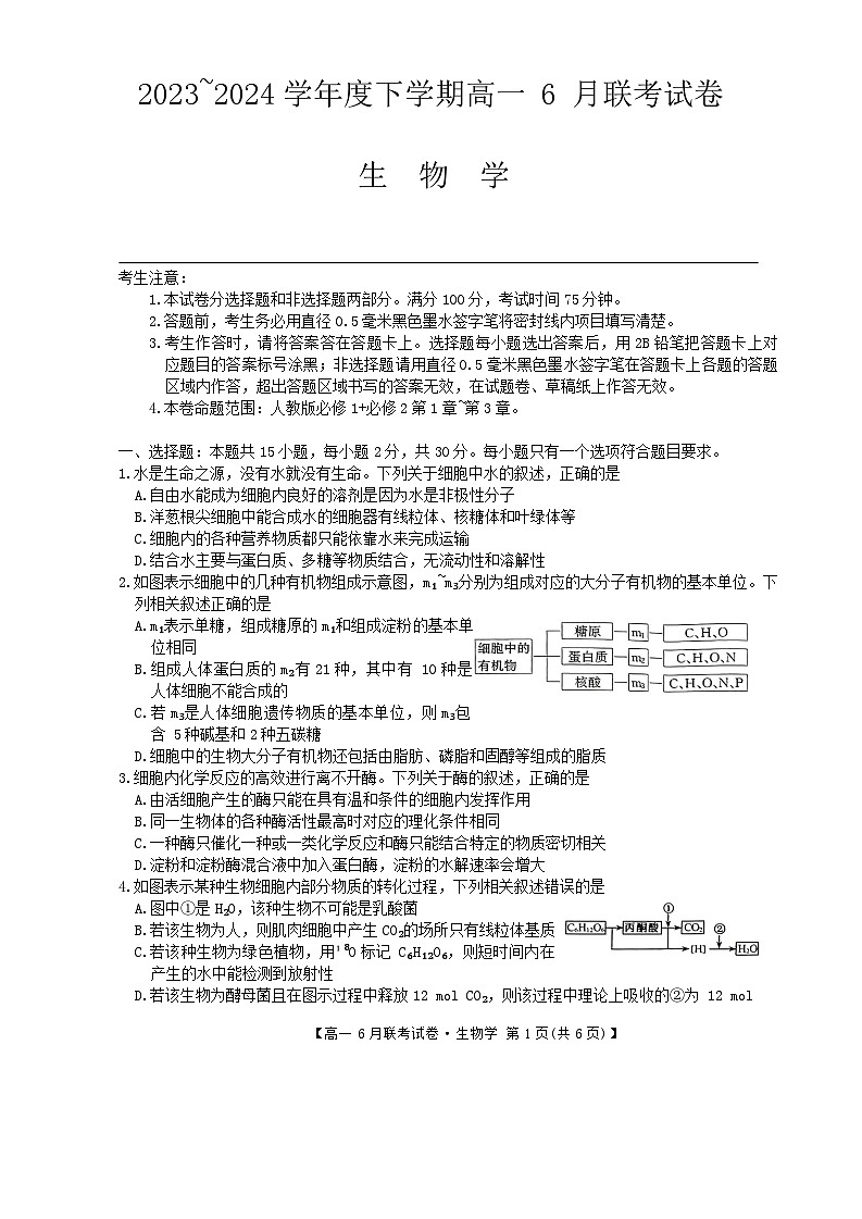 辽宁省朝阳市建平县第二高级中学等2023-2024学年高一下学期6月联考生物试题01