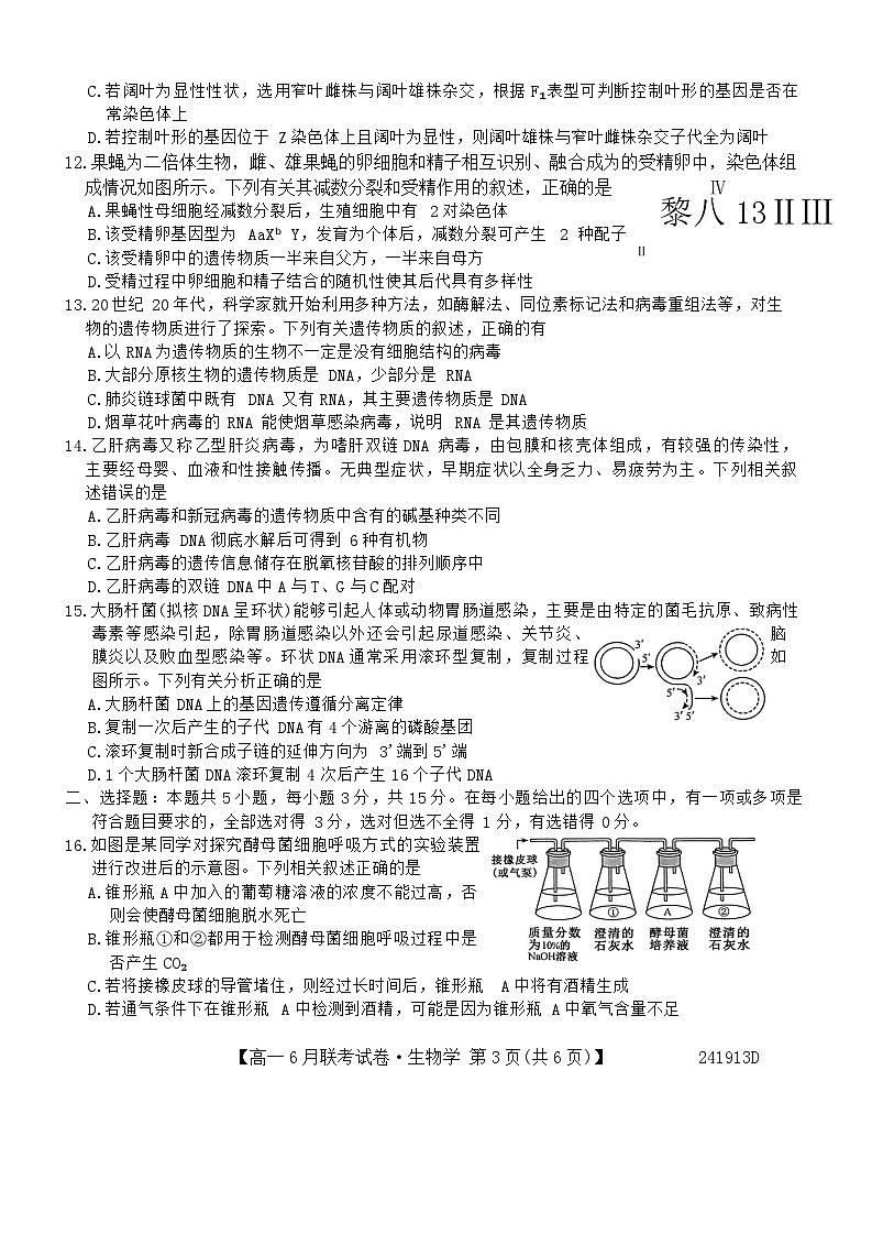 辽宁省朝阳市建平县第二高级中学等2023-2024学年高一下学期6月联考生物试题03