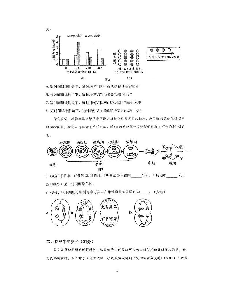 上海市闵行区上海师范大学附属中学闵行分校2023-2024学年高一下学期6月期末生物试题03