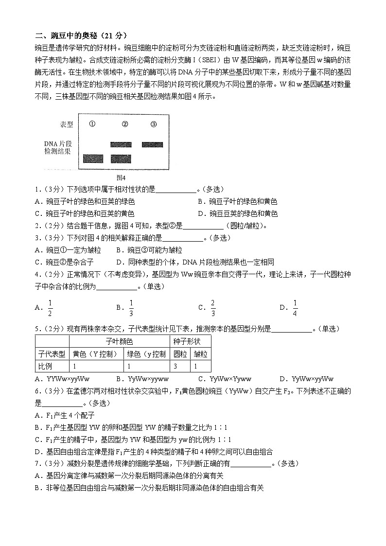 上海市闵行区上海师范大学附属中学闵行分校2023-2024学年高一下学期6月期末生物试题(无答案)第3页
