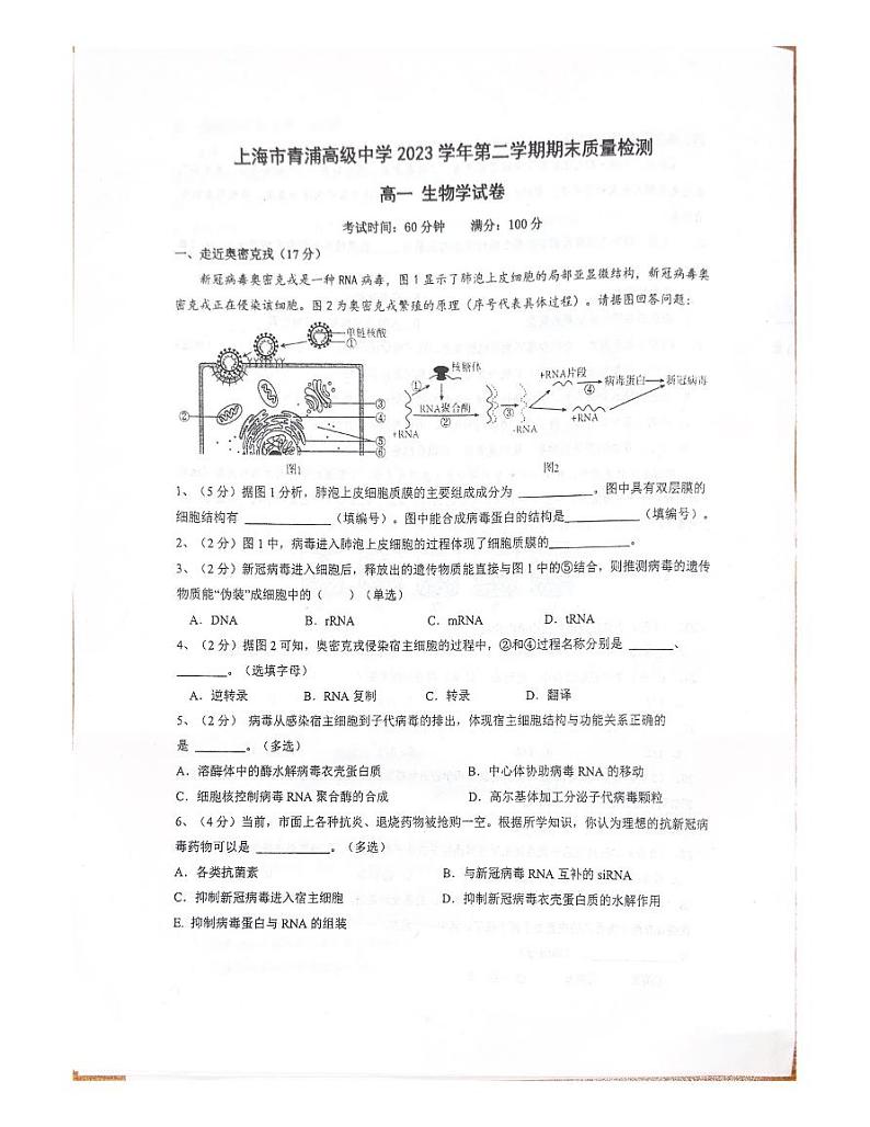 上海市青浦高级中学2023-2024学年高一下学期期末考试生物试卷01