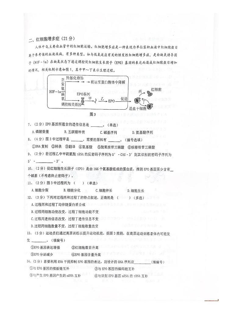 上海市青浦高级中学2023-2024学年高一下学期期末考试生物试卷02