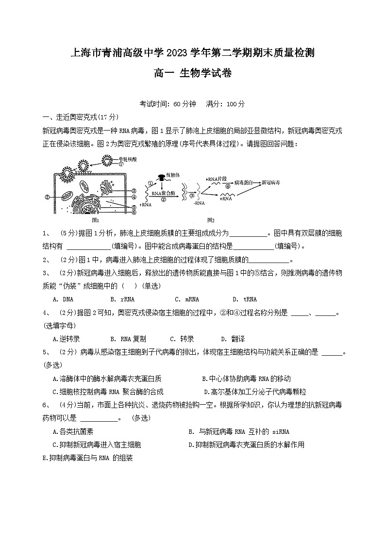 上海市青浦高级中学2023-2024学年高一下学期期末考试生物试卷01
