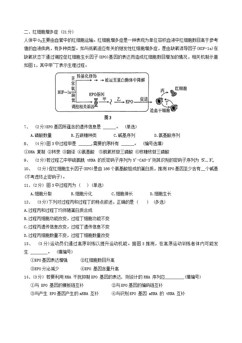 上海市青浦高级中学2023-2024学年高一下学期期末考试生物试卷02