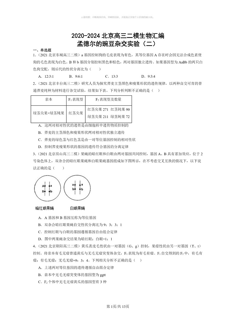[生物]2020～2024北京高三二模生物试题分类汇编：孟德尔的豌豆杂交实验（二）01