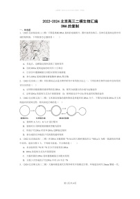 [生物]2022～2024北京高三二模生物试题分类汇编：DNA的复制