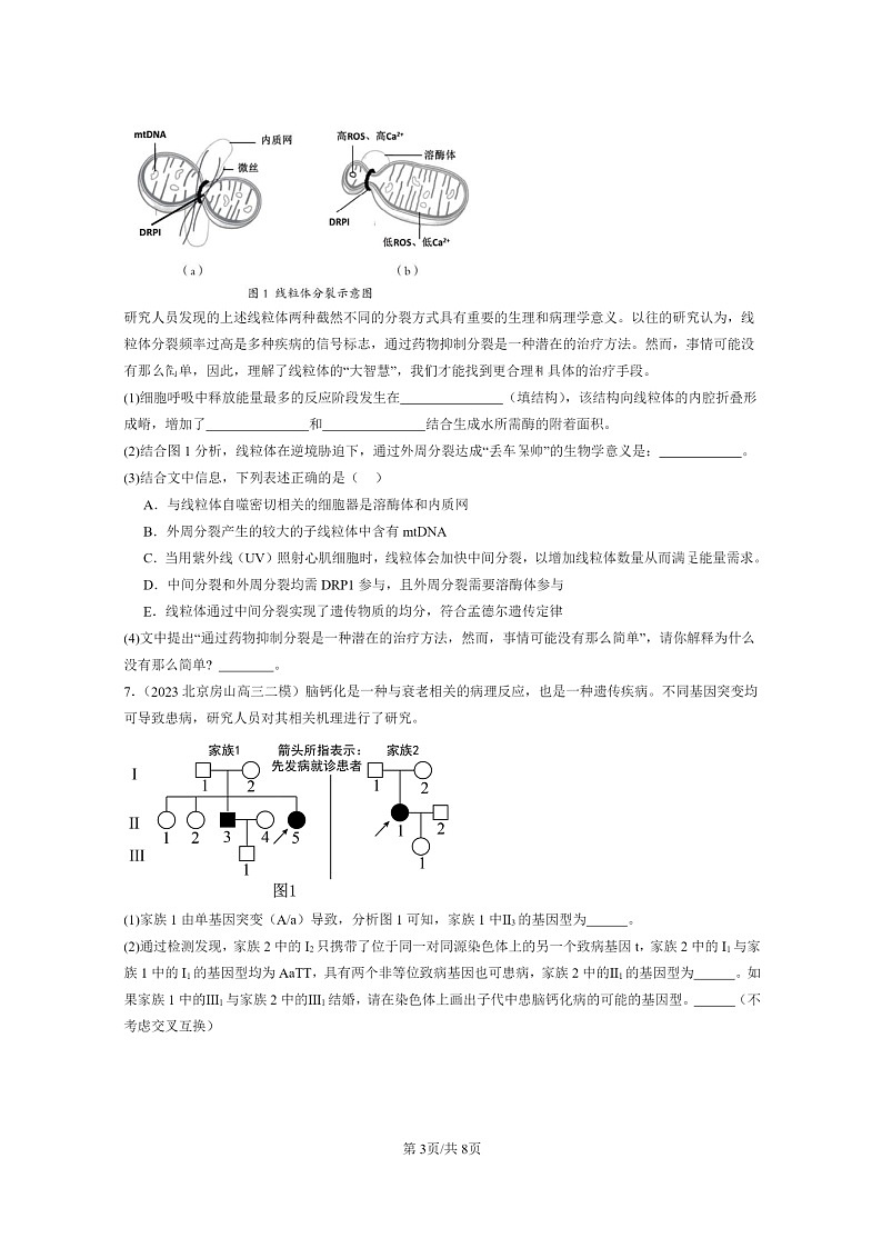 [生物]2022～2024北京高三二模生物试题分类汇编：伴性遗传第3页