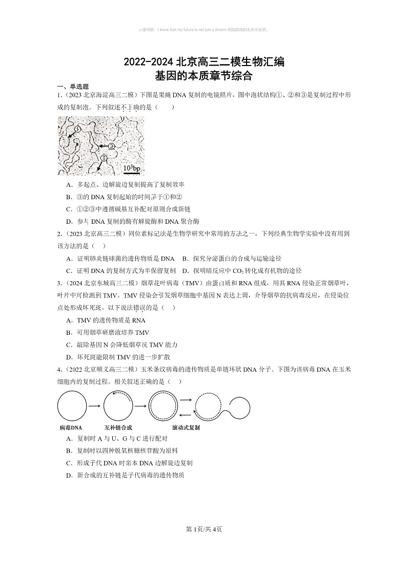 [生物]2022～2024北京高三二模生物试题分类汇编：基因的本质章节综合01