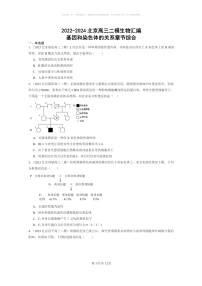 [生物]2022～2024北京高三二模生物试题分类汇编：基因和染色体的关系章节综合