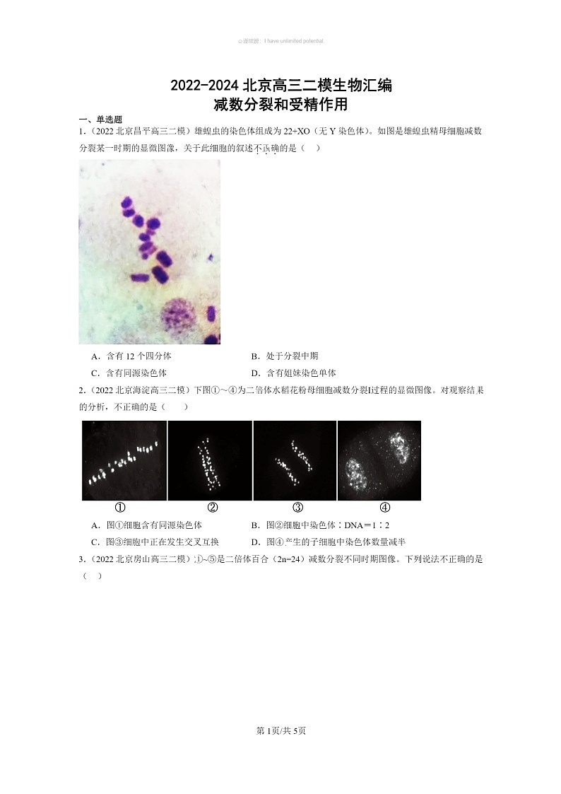 [生物]2022～2024北京高三二模生物试题分类汇编：减数分裂和受精作用第1页