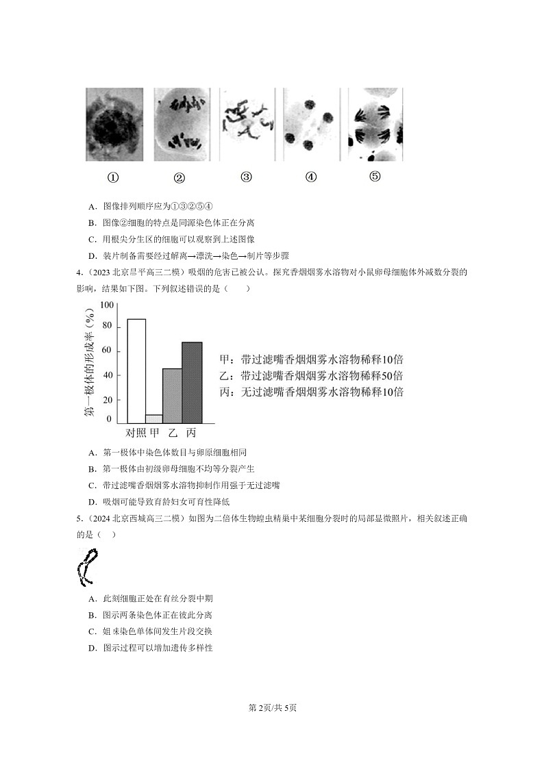 [生物]2022～2024北京高三二模生物试题分类汇编：减数分裂和受精作用第2页