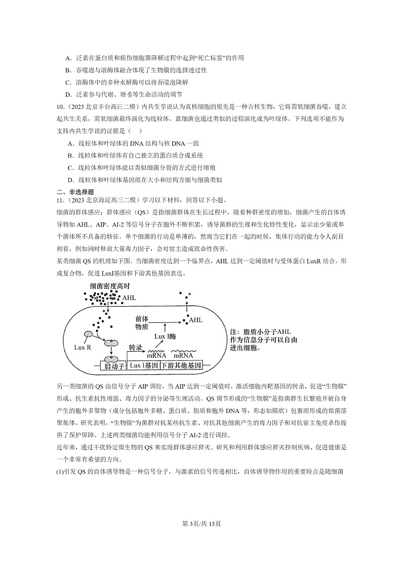 [生物]2022～2024北京高三二模生物试题分类汇编：细胞的基本结构章节综合03