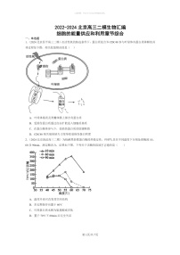 [生物]2022～2024北京高三二模生物试题分类汇编：细胞的能量供应和利用章节综合