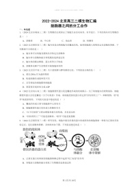 [生物]2022～2024北京高三二模生物试题分类汇编：细胞器之间的分工合作