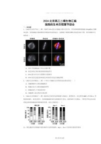 [生物]2024北京高三二模生物试题分类汇编：细胞的生命历程章节综合