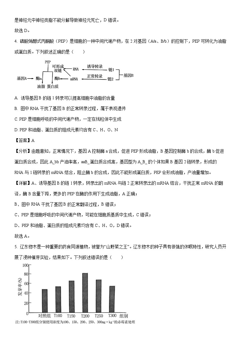 [生物]2024届福建省厦门市高考联考模拟预测（解析版）03