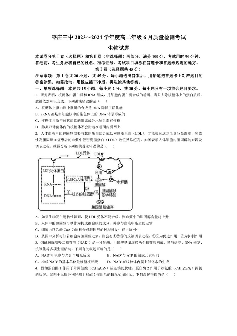[生物]山东省枣庄市第三中学2023—2024学年高二下学期6月月考生物试题（答案）01