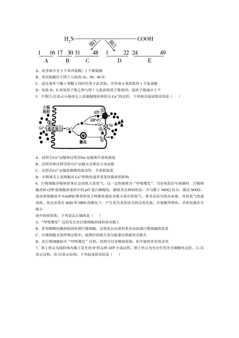 [生物]山东省枣庄市第三中学2023—2024学年高二下学期6月月考生物试题（答案）02