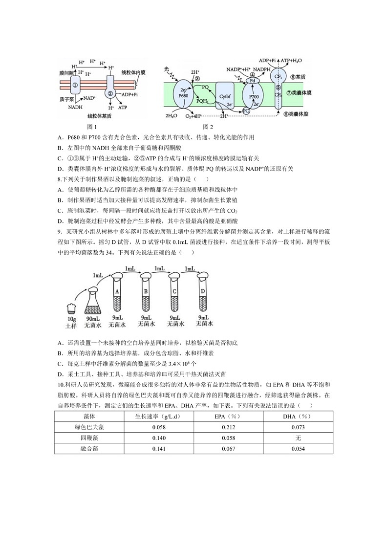 [生物]山东省枣庄市第三中学2023—2024学年高二下学期6月月考生物试题（答案）03