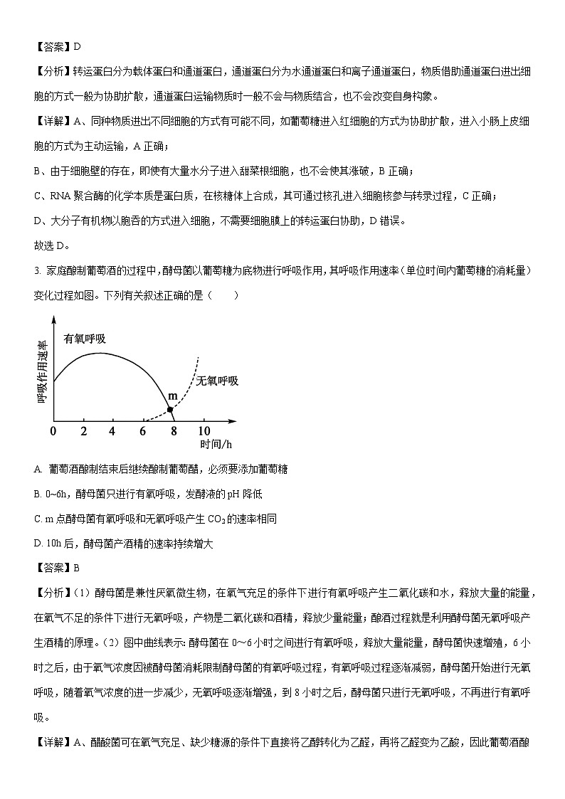 [生物]九师联盟2024届高三年级下学期5月考前押题（解析版）02