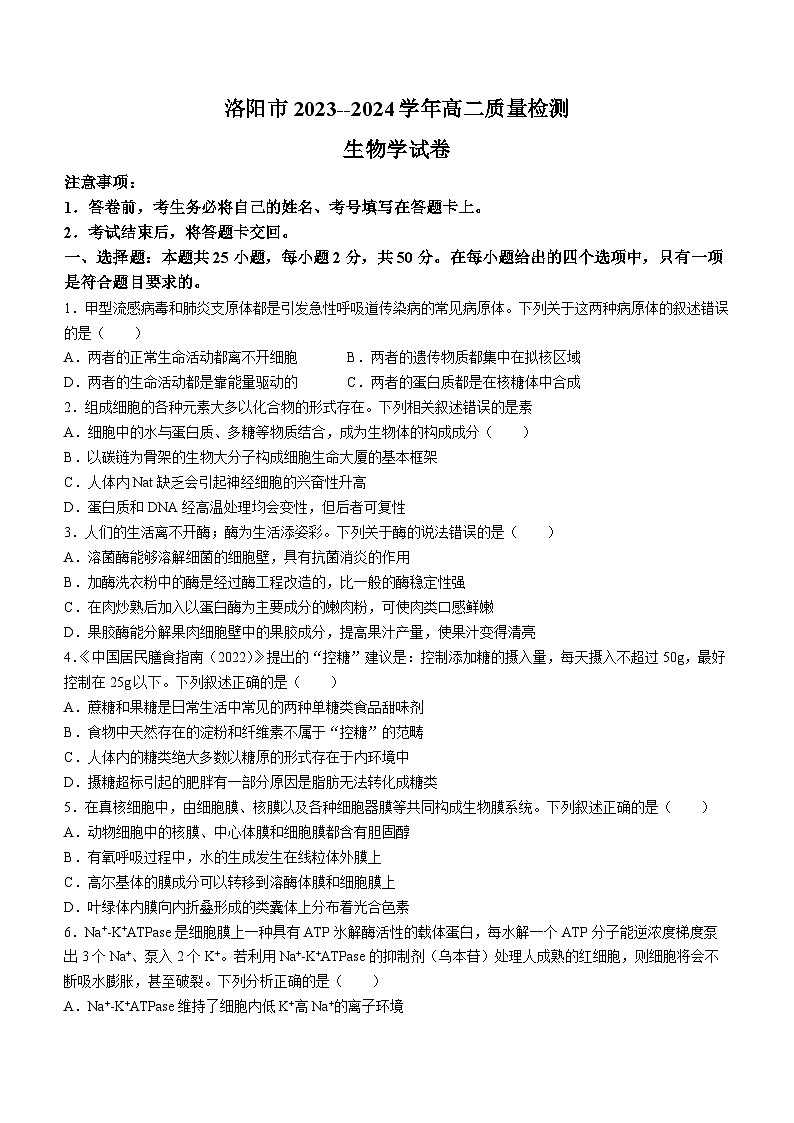 2024洛阳高二下学期6月期末考试生物含答案第1页