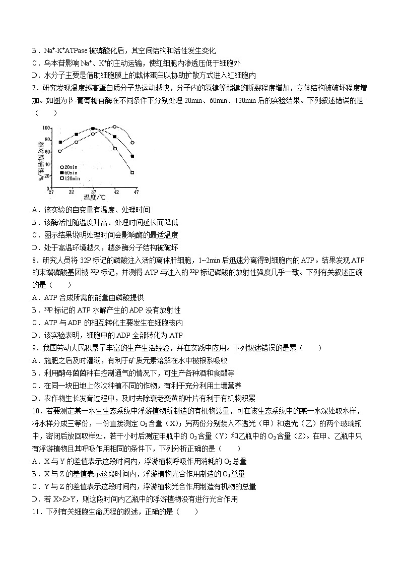 2024洛阳高二下学期6月期末考试生物含答案第2页