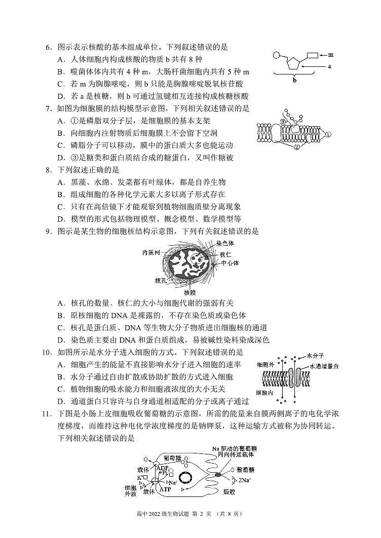 2024成都蓉城名校联盟高二下学期期末生物试题PDF版含答案02