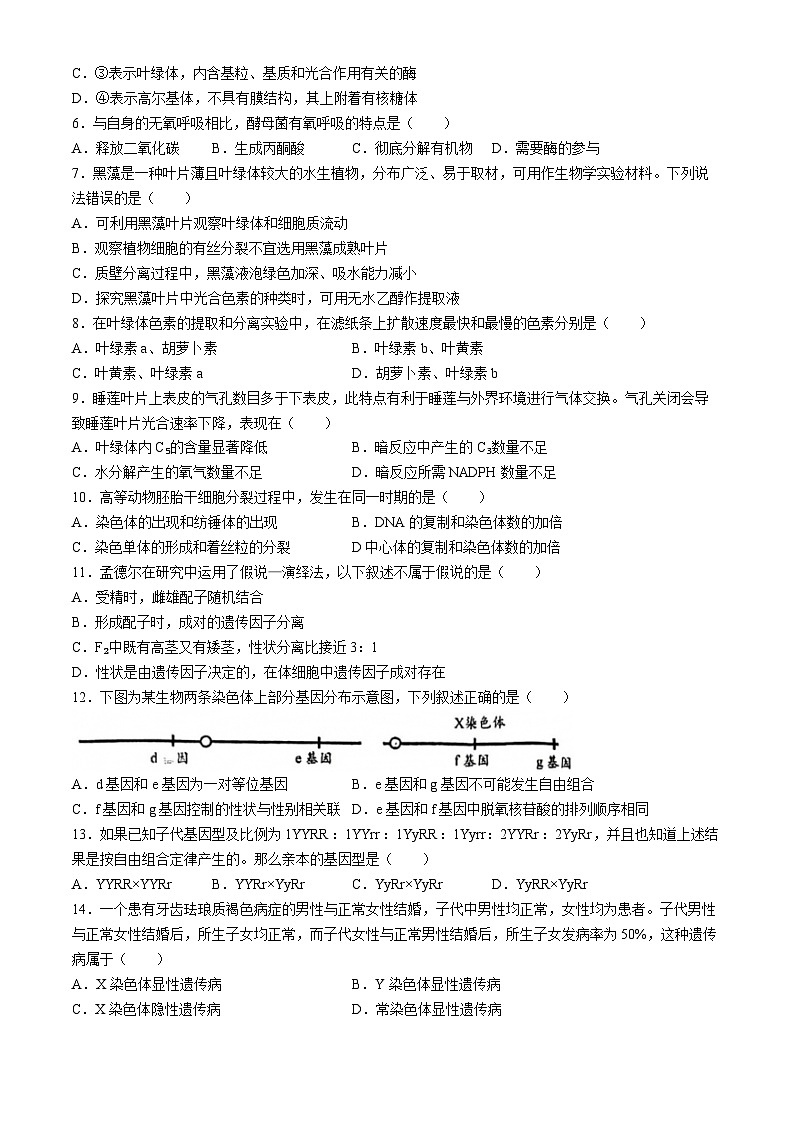 2024北京市第一六六中学高一下学期6月期末模拟考试生物含答案第2页