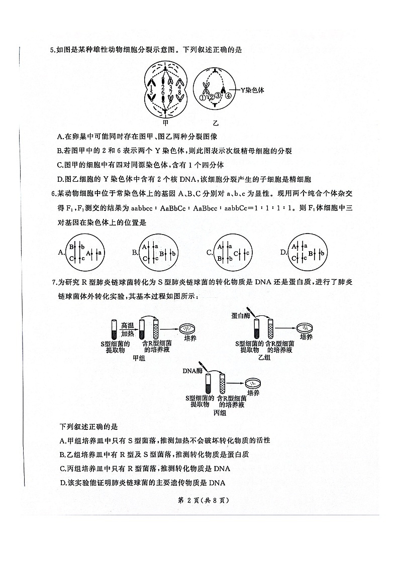 2024山东省百师联盟高一下学期期末联考（6月）生物试题扫描版含解析02