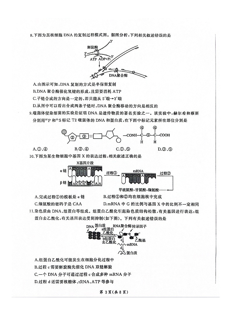 2024山东省百师联盟高一下学期期末联考（6月）生物试题扫描版含解析03