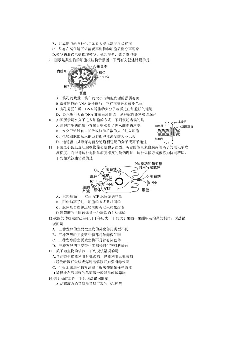 [生物]四川省成都市蓉城名校2023～2024学年高二下学期期末联考生物试题（解析版）02