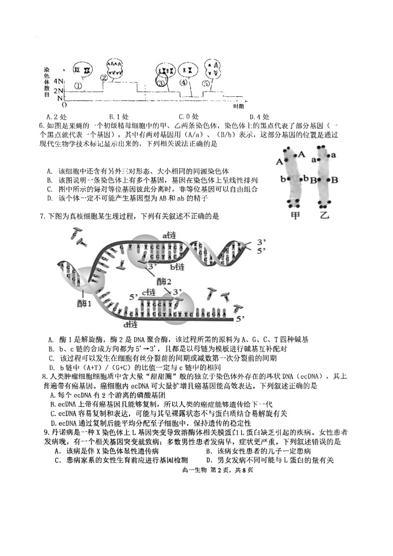 [生物]天津市第四十七中学2023～2024学年高一下学期第二次月考生物试卷(有答案)第2页