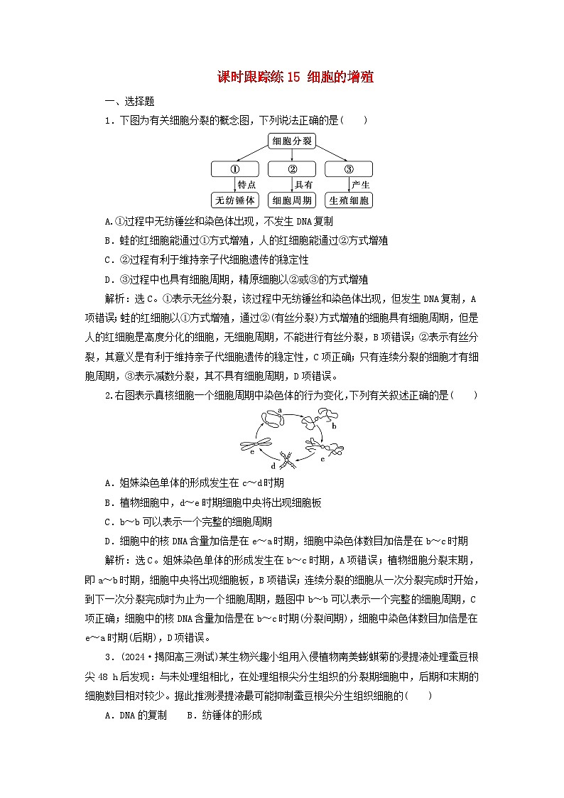 2025届高考生物一轮总复习课时跟踪练15细胞的增殖01