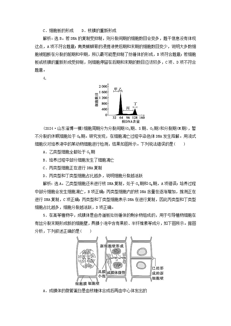 2025届高考生物一轮总复习课时跟踪练15细胞的增殖02