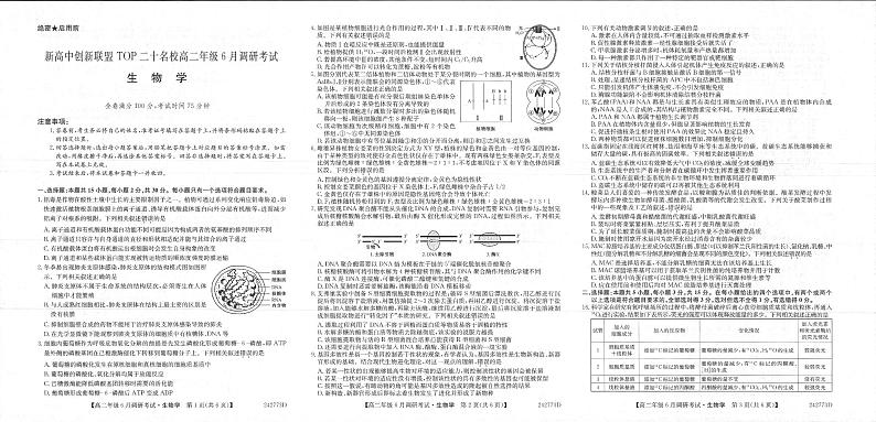 生物-河南省新高中创新联盟TOP二十名校2024年高二6月调研考试01