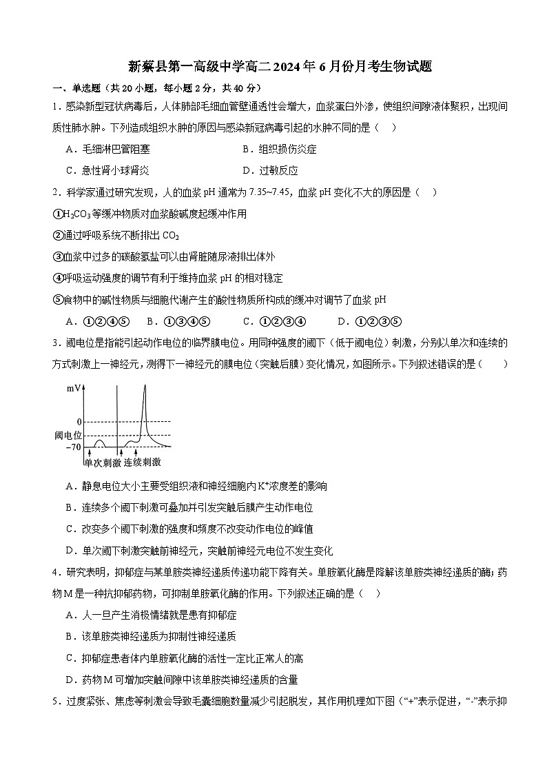河南省驻马店市新蔡县第一高级中学2023-2024学年高二下学期6月月考生物试题01
