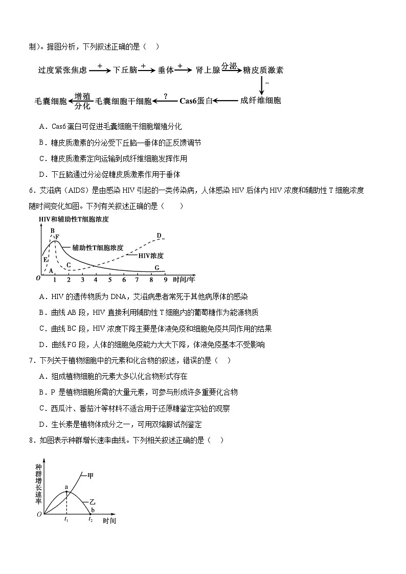 河南省驻马店市新蔡县第一高级中学2023-2024学年高二下学期6月月考生物试题02