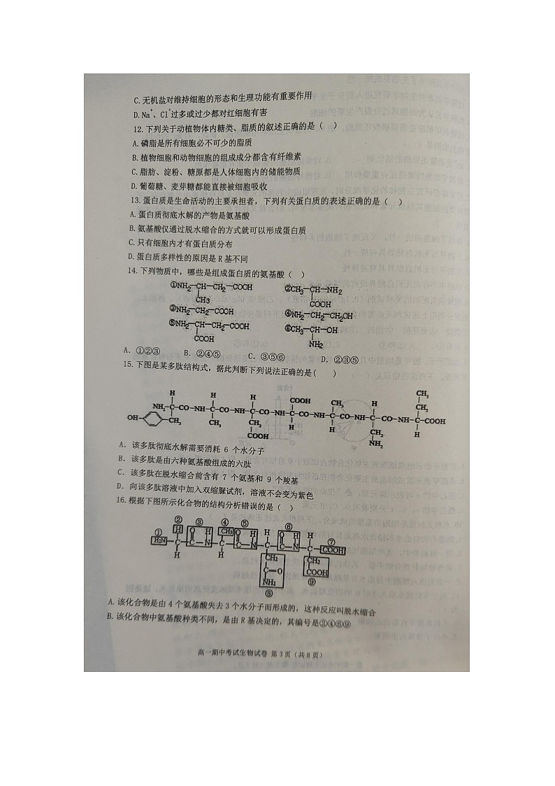 陕西省铜川市第一中学2023~2024学年高一上学期期中考试生物试题第3页