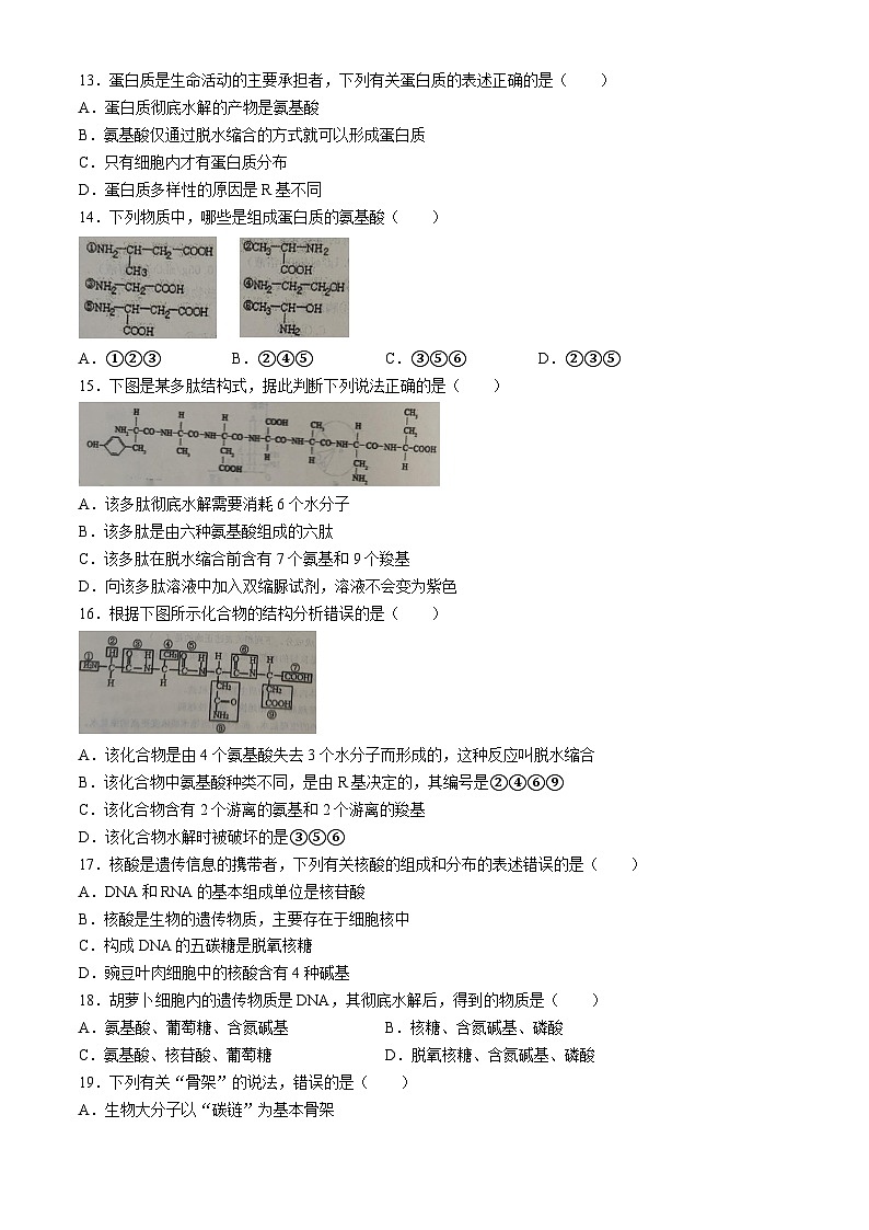 陕西省铜川市第一中学2023~2024学年高一上学期期中考试生物试题(无答案)03