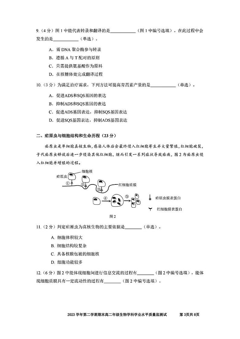 上海市宝山区2023-2024学年高二下学期期末教学质量监测生物试卷03