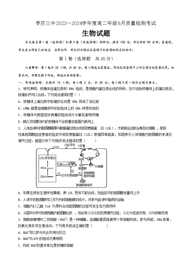 山东省枣庄市第三中学2023-2024学年高二下学期6月月考生物试题01