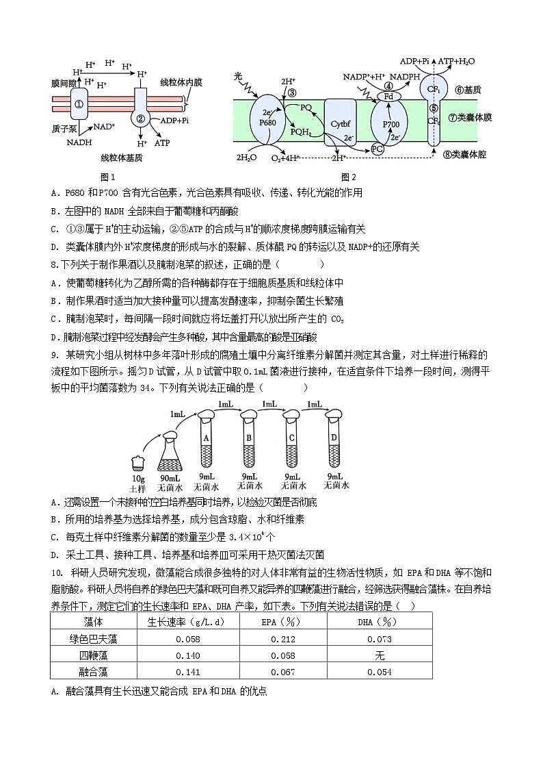 山东省枣庄市第三中学2023-2024学年高二下学期6月月考生物试题03