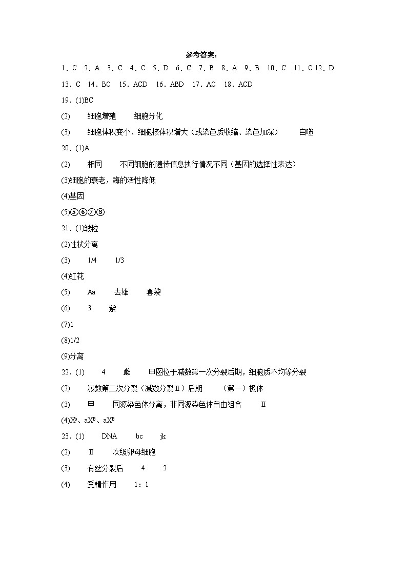 河北省衡水市武强中学2023-2024学年高二下学期期末考试生物试题01
